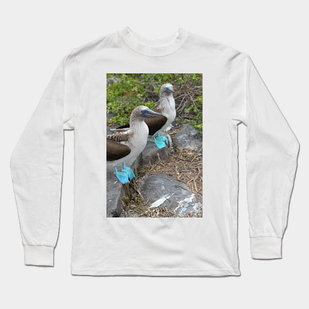 Though we be blue-footed Long Sleeve T-Shirt by jhuxster